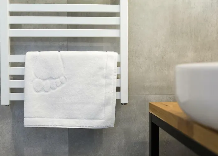 Loft 公寓 波兹南