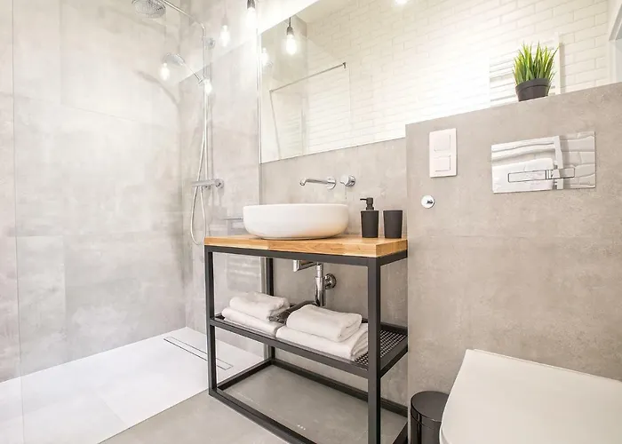 公寓 Loft 波兹南