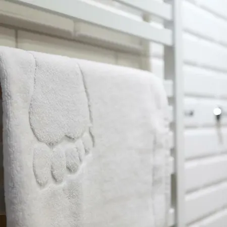 Apartment Loft Posen