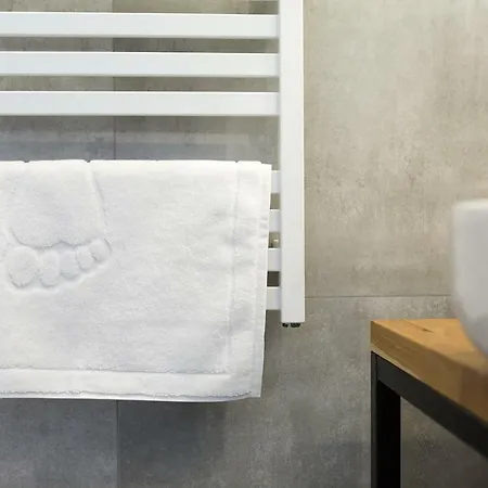 Loft Apartment Posen