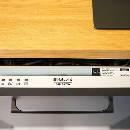 Loft Apartment Posen